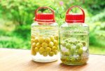 「酔わない梅酒」が人気ですが、最近注目の梅酒の健康効果・歴史とは。