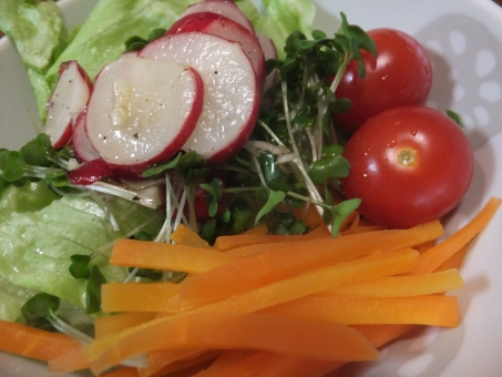 野菜サラダ