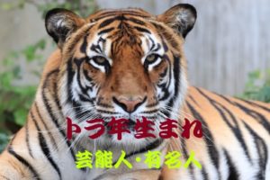 トラ年生まれの芸能人・有名人