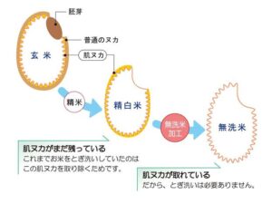 米ヌカ